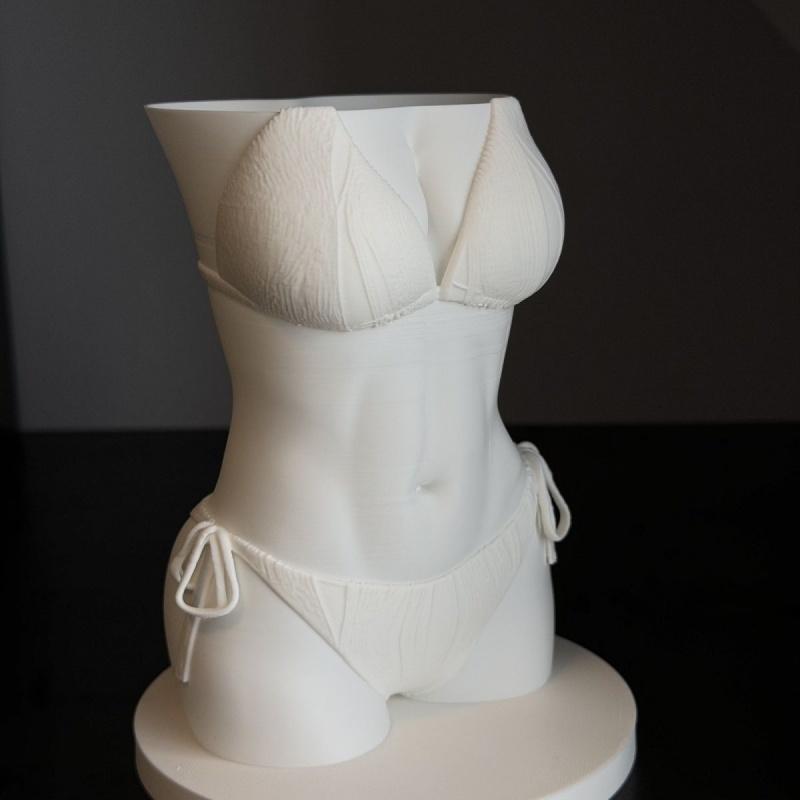 YENİ Bikini Vücut Kalemlik 3D  - 3D Printing Pot incelemesi ve fiyatı