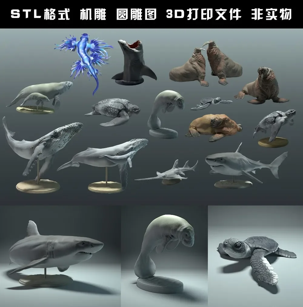 Hayvanlar, kutup ayısı, takin, - 3D Printing File Free incelemesi ve fiyatı